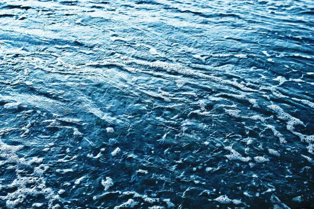 Ripples on lake water. Shallow water beach wave.