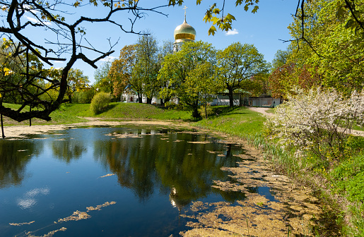 Sunny path by the pond, bush with white flowers, yellow duckweed. The dome of the temple and the blue sky are reflected in the pond. Church of the Fedorovskaya Mother of God. Tsarskoe Selo, Russia.