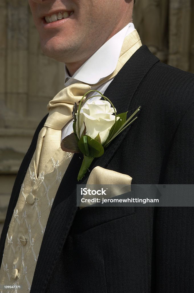 boutonniere6 - Lizenzfrei Anzug Stock-Foto