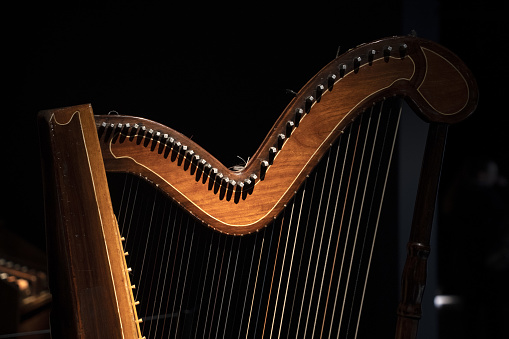 harp strings detail close up isolated on black background