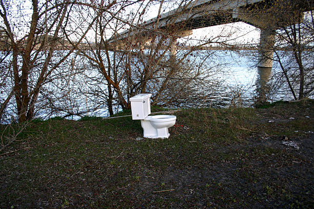 Nature Restroom stock photo