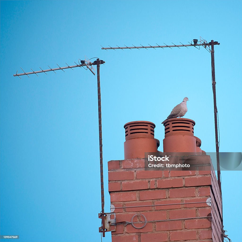 Chimenea y dove - Foto de stock de Aire libre libre de derechos