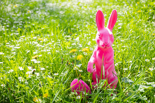 A pink easter rabbit in a meadow with copy space