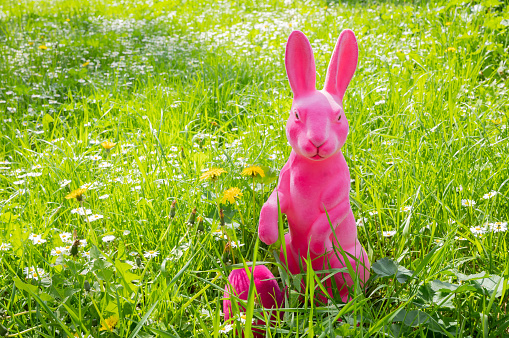Cute bunny and colorful Easter eggs on green grass outdoors