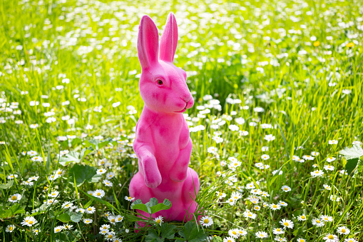 A pink easter rabbit in a meadow with copy space