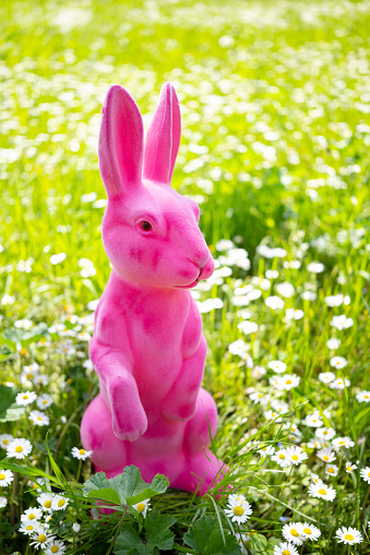 A pink easter rabbit in a meadow with copy space