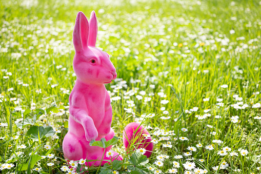 A pink easter rabbit in a meadow with copy space