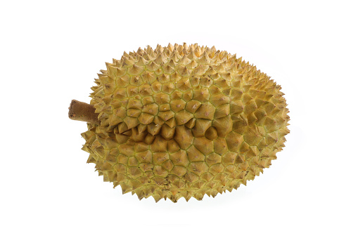 durian on white background