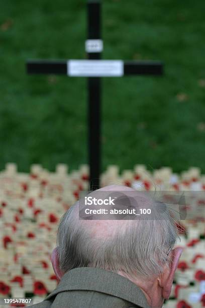 Remembrance Day Stockfoto und mehr Bilder von Remembrance Day - Remembrance Day, Kriegsveteranen-Gedenktag, Mohn - Pflanze
