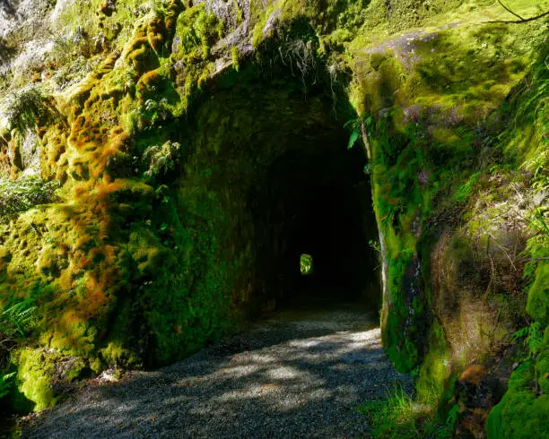 Photo of Chasm Creek Walk, light at the end of the tunnel, a disused railway tunnel from the coal mining days.