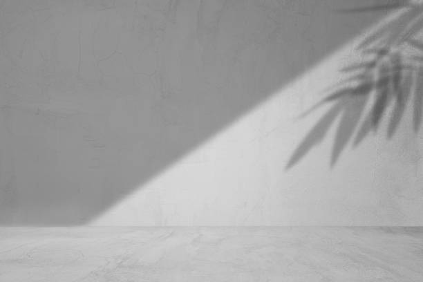 istock Concept of leaf shadow and light on gray cement surface. 1395479392