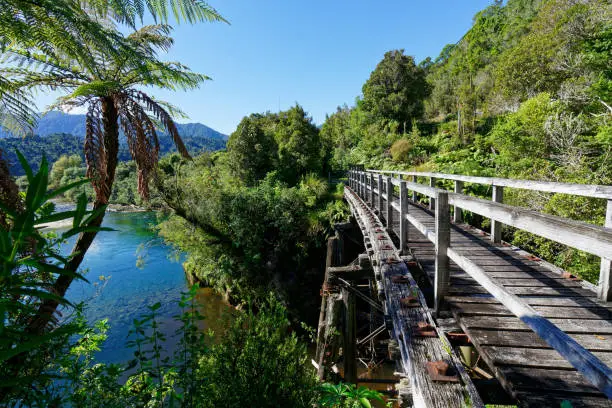 Photo of Chasm Creek Walk, a disused timber railway bridge from the coal mining days, Aotearoa / New Zealand.