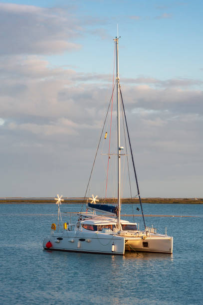 Catamaran at the harbor in front of Olhao in the Algarve Catamaran moored at the harbor in front of Olhao in the Algarve in Portugal catamaran sailing stock pictures, royalty-free photos & images