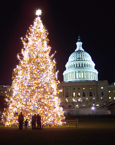 Photo of U.S. Capitol in Washington D.C. during Christmas time.  Tree depicted here is a 200 foot spruce tree from Virginia decorated by school children.