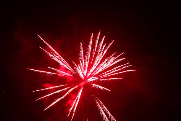 istock Colorful fireworks in the night sky 1395481168