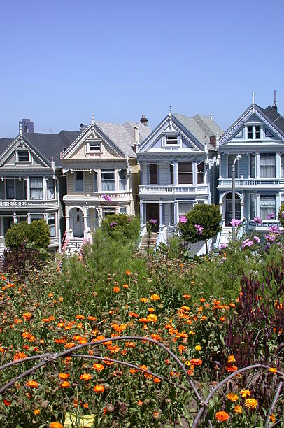 istock Garden & Painted Ladies 139548136