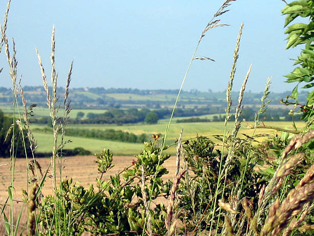 A picture taken across the gorgeous English countryside of the Rutland area, Midlands. Rutland is the UK's smallest county but hidden within this county is beautiful English countryside