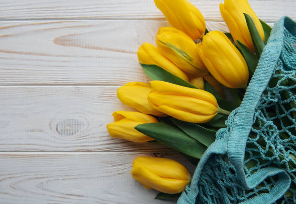 Bouquet of yellow tulips in a mesh bag  on a white wooden background