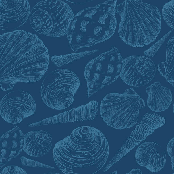 ilustraciones, imágenes clip art, dibujos animados e iconos de stock de ilustración vectorial patrón marino sin costuras conchas marinas dibujadas a mano - fashion palette