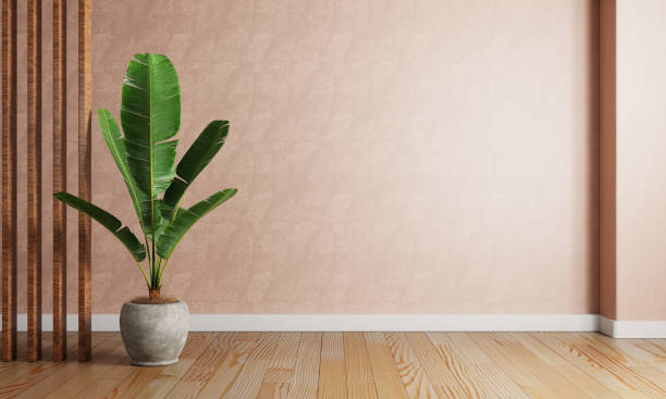 Banana plant pot in the red coral color living room with raw concrete wall background. Interior and Architecture concept. 3D illustration rendering stock photo