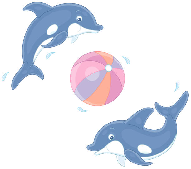 Merry Little Dolphins Playing A Big Ball Stock Illustration - Download  Image Now - Animal, Aquatic Mammal, Beach - iStock