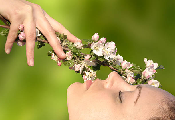 Poland, spring, orchard, blossom appletree, young woman, afternoon