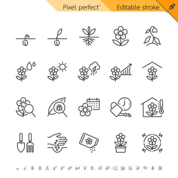 Plant thin icons. Pixel perfect. Editable stroke. Plant thin icons. Pixel perfect. Editable stroke. sow stock illustrations