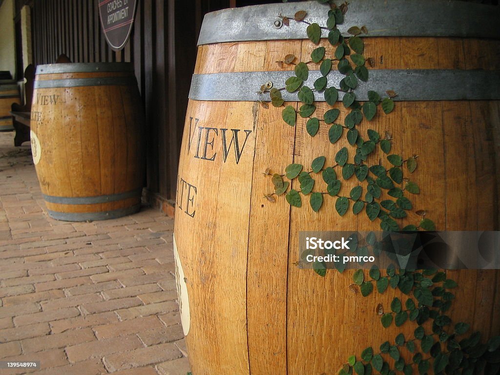 Tonneaux de vin dans la vallée du chasseur - Photo de Australie libre de droits