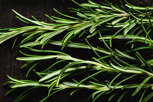 Top view of organic bunch of rosemary herb on wooden background. Close-up of fresh rosemary.