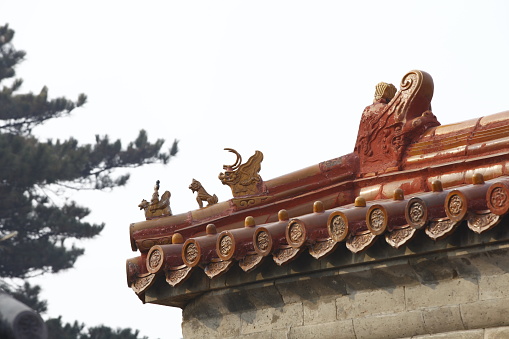 Taoist temples in taiwan have traditionally highly decorated roofs with multicolored dragons, lions, birds, gods, etc. 