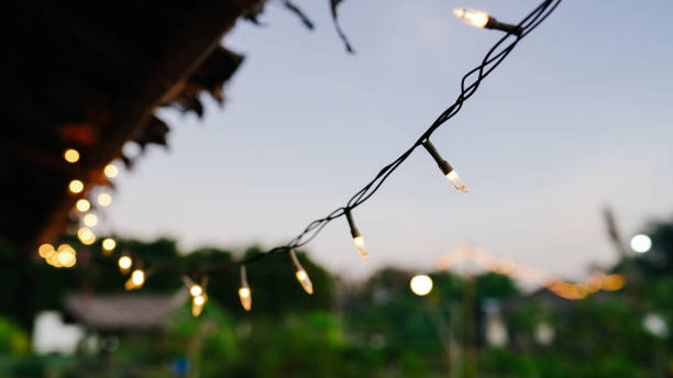 istock Garden lights that illuminate the twilight. 1395496568