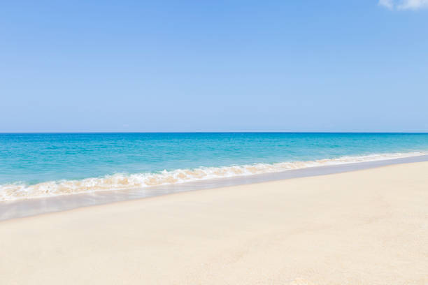 istock Beautiful clean sandy beach with blue sea background 1395496812