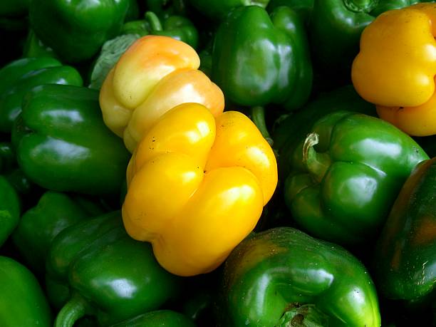 bell peppers stock photo