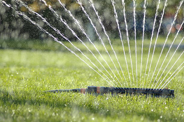water sprinkler 5 water sprikler backlit by the sun. Water falling in the foreground. soaked suit stock pictures, royalty-free photos & images