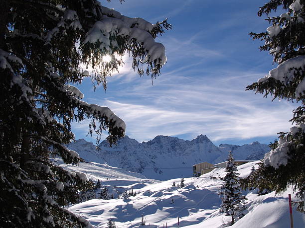 Sun behind snowy-tree with blue-sky in Arosa switzerland.