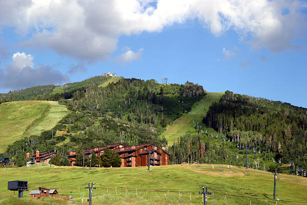 Colorado: Steamboat The ski hill steamboat, in the summer. steamboat springs stock pictures, royalty-free photos & images