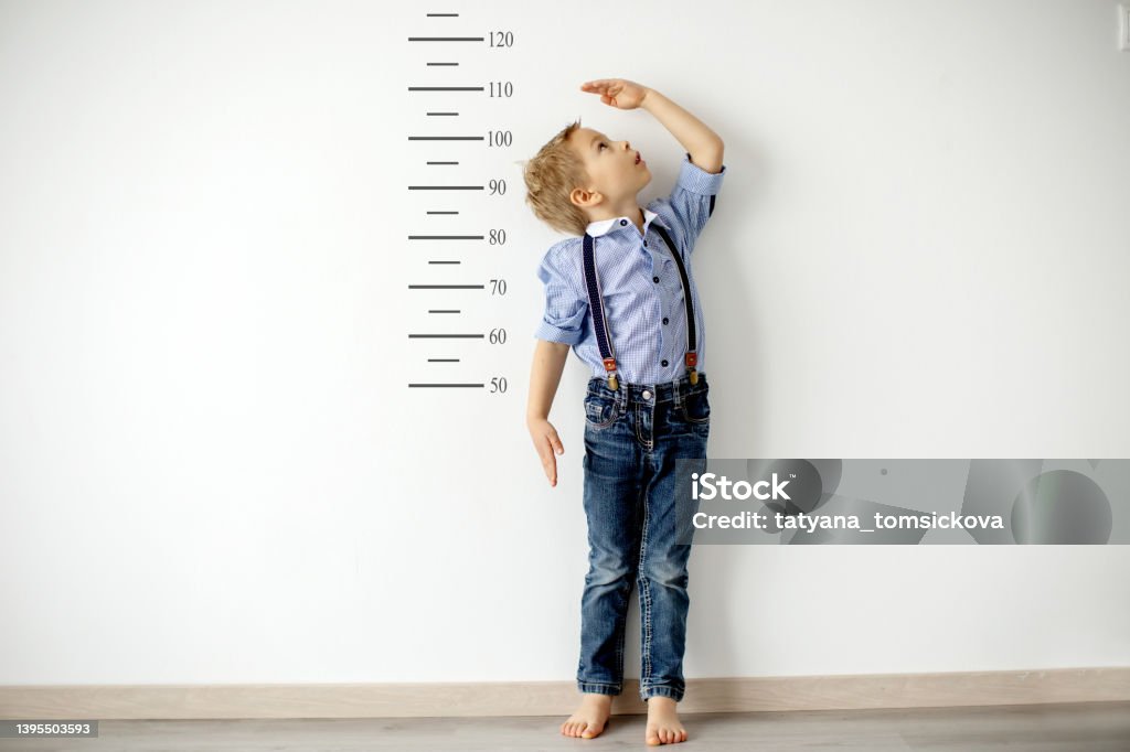 Little child, boy, measuring height against wall in room Little child, blond boy, measuring height against wall in room Measuring Stock Photo