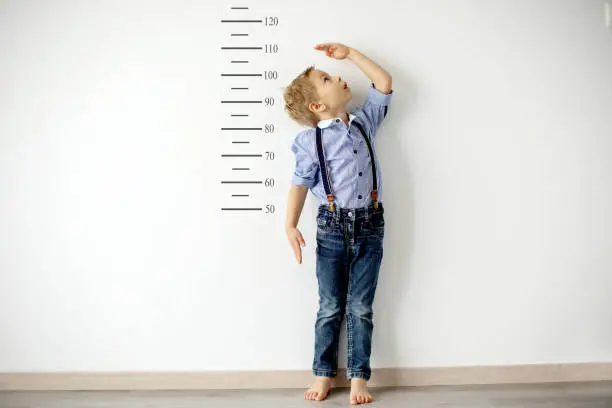 Little child, blond boy, measuring height against wall in room