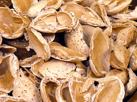 Closeup of almond shells.