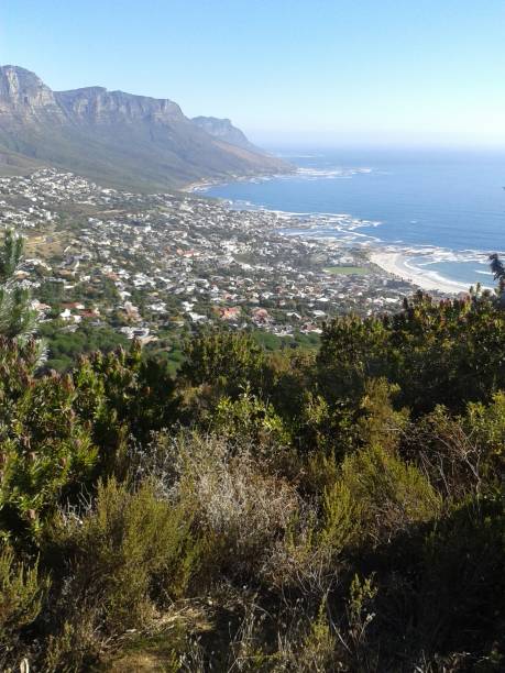 istock Camps Bay Cape Town 1395505347