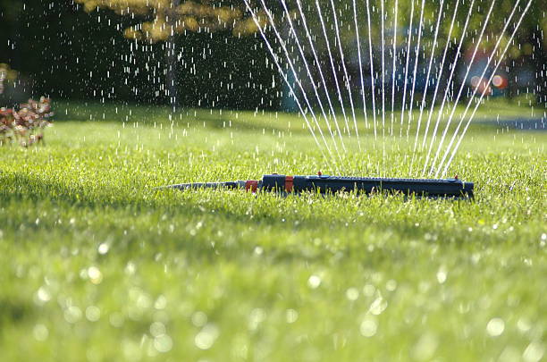 water sprinkler 3 Water sprinkler backlit by the sun. spinkler in focus. soaked suit stock pictures, royalty-free photos & images