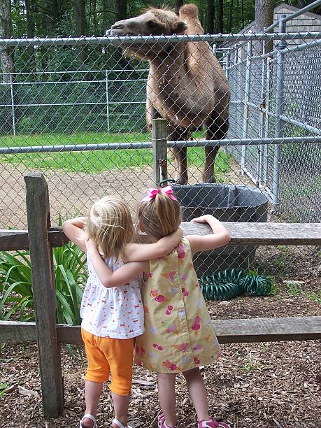 Cousins Day at the Zoo stock photo