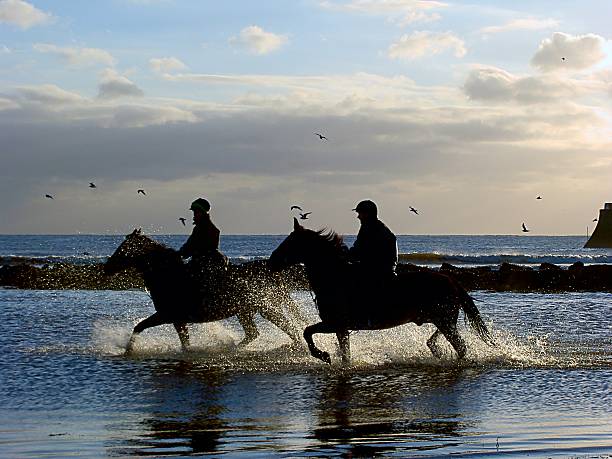 istock Two people riding horses through shallow water on the beach 139550917
