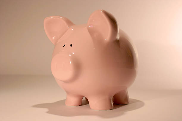 istock Piggy Bank 139550985