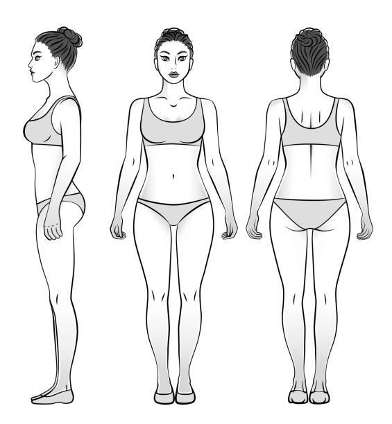ilustrações de stock, clip art, desenhos animados e ícones de woman in underwear view from front, side and back, black and white. - body woman back