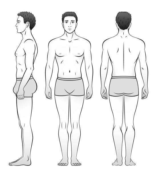 속옷을 입은 남자가 앞, 옆, 뒤에서 보입니다. 흑백. - human head silhouette side view men stock illustrations