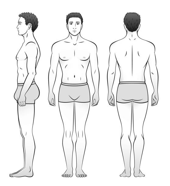 78 Cartoon Of Human Body Outline Front And Back Illustrations & Clip Art - iStock 78 Cartoon Of Human Body Outline Front And Back Illustrations & Clip Art - iStock