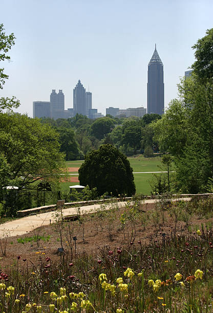 istock Smoggy Atlanta skyline 139551056