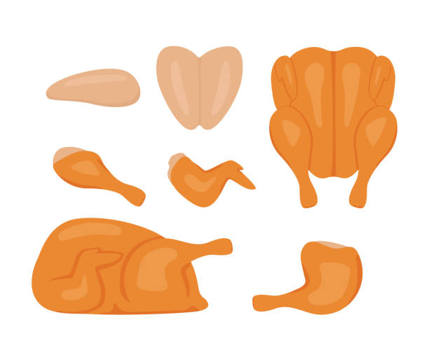 ilustraciones, imágenes clip art, dibujos animados e iconos de stock de carne de pollo marrón a la parrilla, juego de dibujos animados de comida. pollo frito entero con pierna de gallina, ala y filete. asado de carne a la parrilla. pollito de pieza cocida. ilustración vectorial - chicken thighs