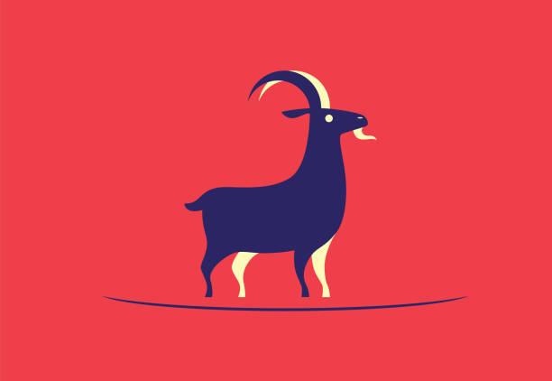 illustrations, cliparts, dessins animés et icônes de symbole de chèvre - bélier animal mâle